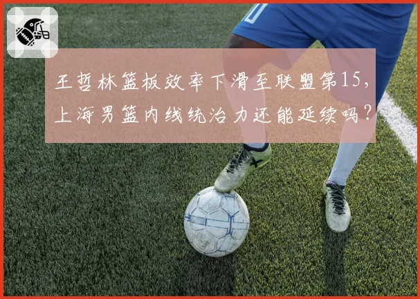 王哲林篮板效率下滑至联盟第15,上海男篮内线统治力还能延续吗?