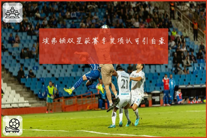 埃弗顿双星获赛季奖项认可引自豪