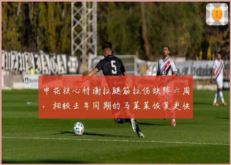 申花核心特谢拉腿筋拉伤缺阵六周,相较去年同期的马莱莱恢复更快