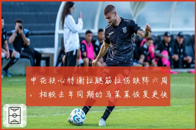 申花核心特谢拉腿筋拉伤缺阵六周,相较去年同期的马莱莱恢复更快
