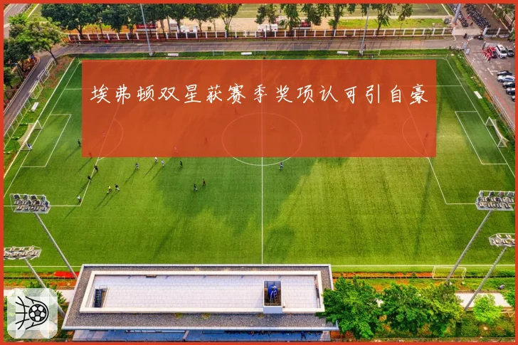 埃弗顿双星获赛季奖项认可引自豪